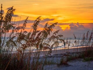 Lido Key Beach Sarasota