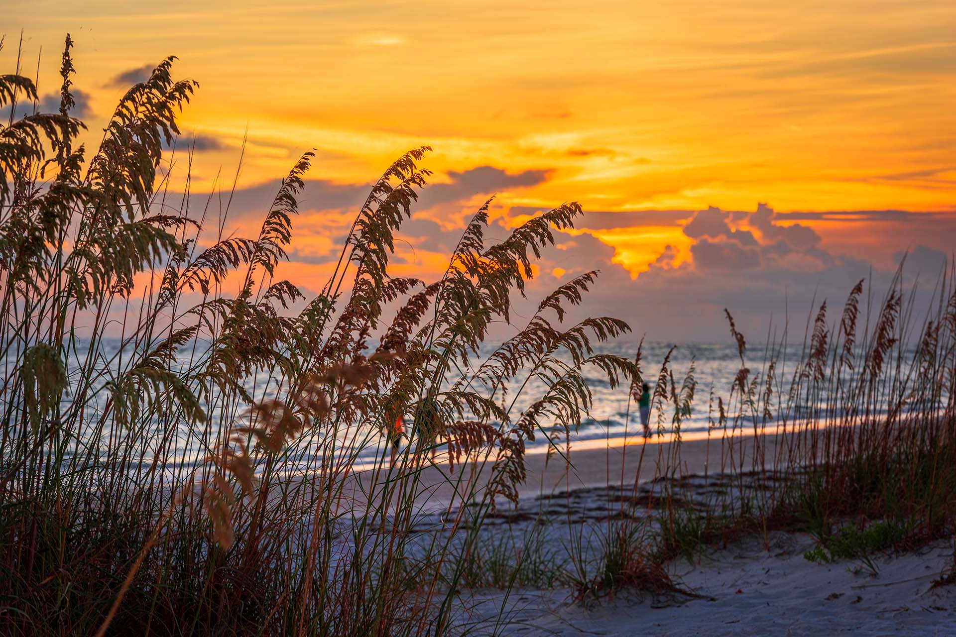 Lido Key Beach Sarasota
